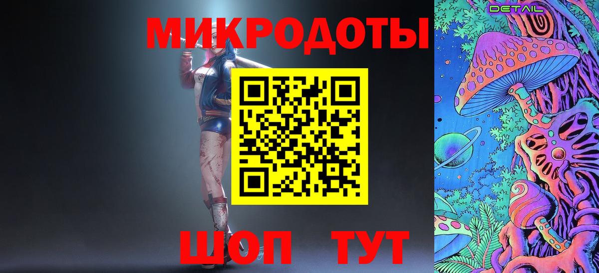 Галлюциногенные грибы Psilocybine cubensis Петрозаводск