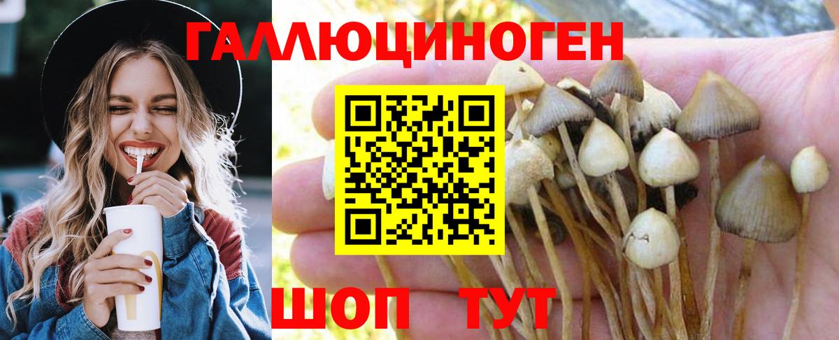 Галлюциногенные грибы Magic Shrooms  наркотики  Петрозаводск  Вход с VPN 